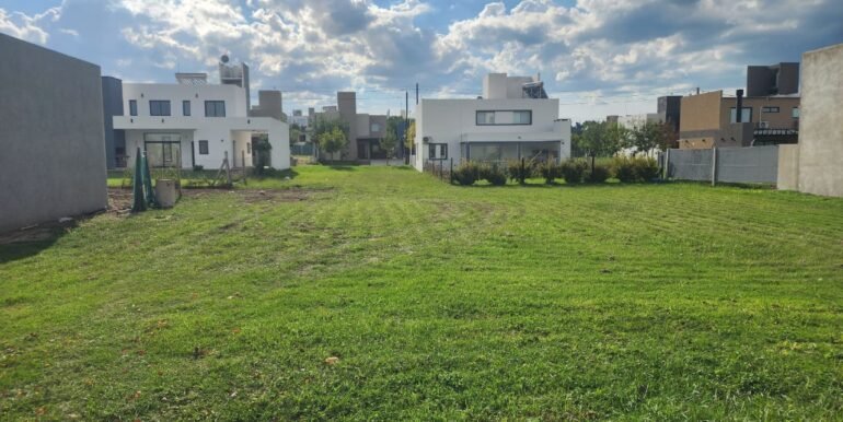 WhatsApp Image 2026-04-07 at 17.08.24 (1)