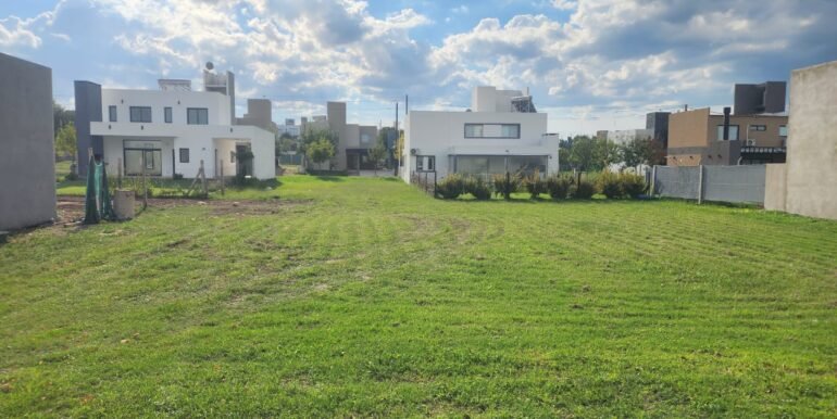 WhatsApp Image 2026-04-07 at 17.08.29