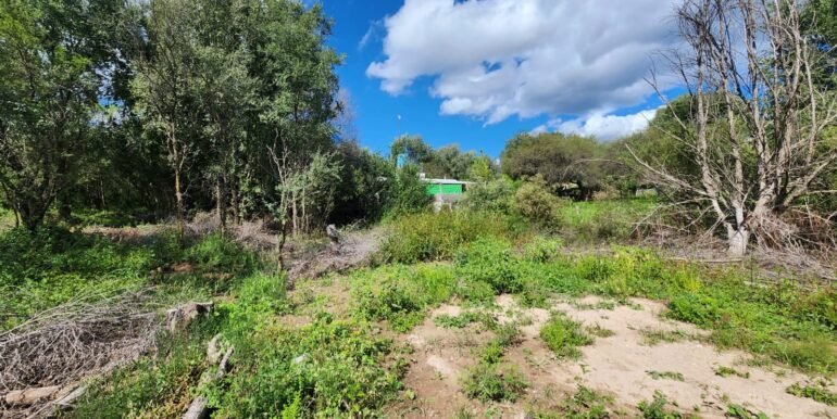 WhatsApp Image 2026-04-15 at 15.46.05 (1)