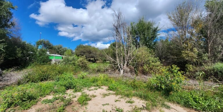 WhatsApp Image 2026-04-15 at 15.46.05 (3)