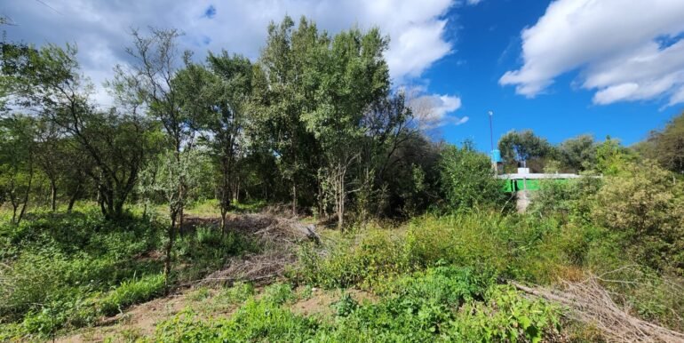 WhatsApp Image 2026-04-15 at 15.46.08 (1)