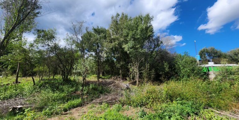 WhatsApp Image 2026-04-15 at 15.46.10