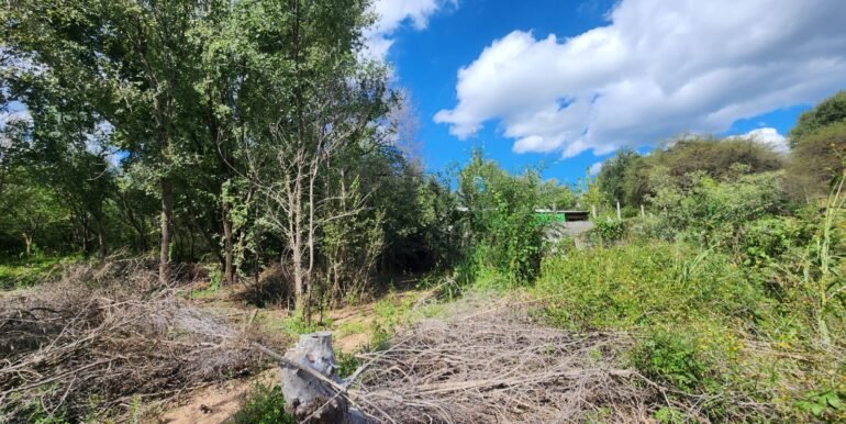 WhatsApp Image 2026-04-15 at 15.46.20 (1)