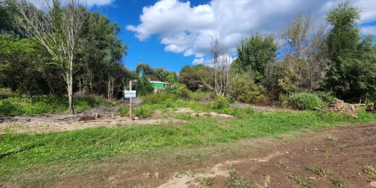 WhatsApp Image 2026-04-15 at 15.46.21 (2)