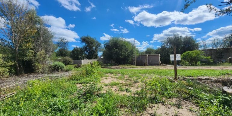 WhatsApp Image 2026-04-15 at 15.46.21