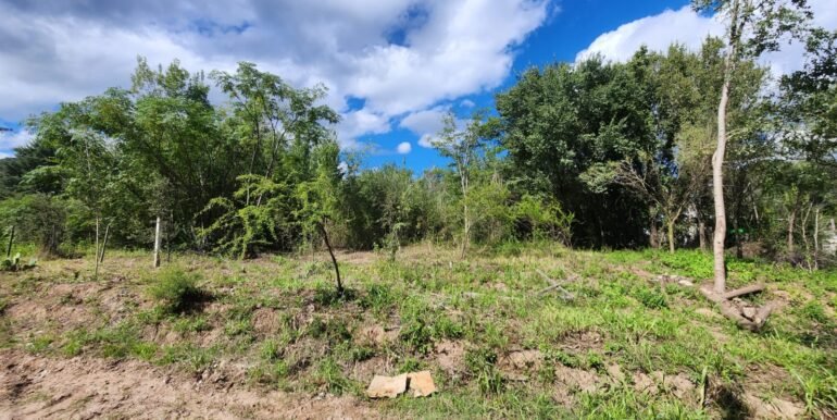 WhatsApp Image 2026-04-15 at 15.46.22 (1)