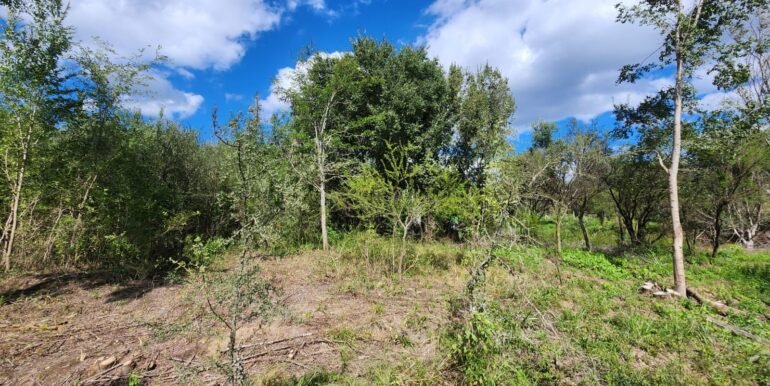 WhatsApp Image 2026-04-15 at 15.46.23 (2)