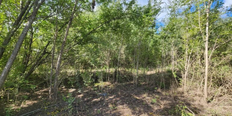 WhatsApp Image 2026-04-15 at 15.46.24 (1)