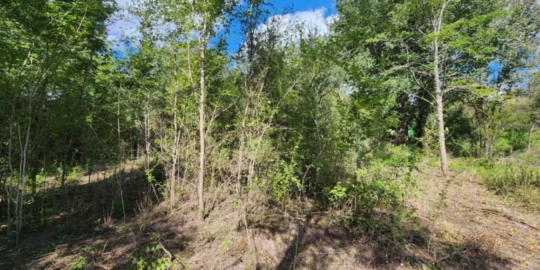 WhatsApp Image 2026-04-15 at 15.46.24 (3)