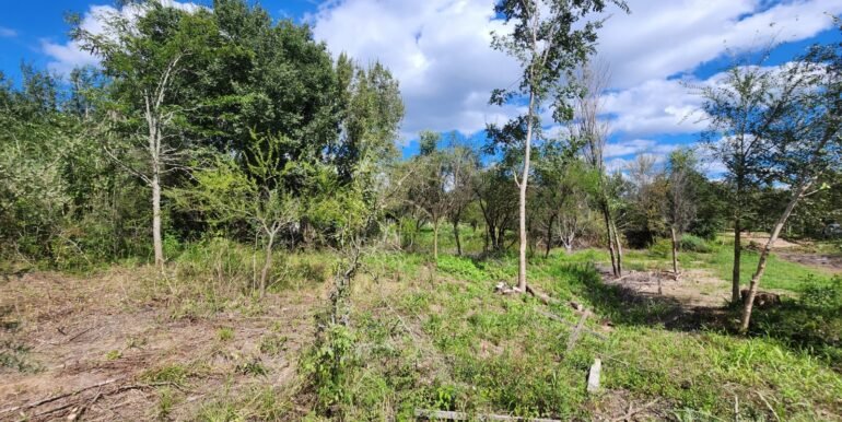 WhatsApp Image 2026-04-15 at 15.46.24