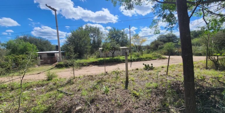 WhatsApp Image 2026-04-15 at 15.46.25 (1)