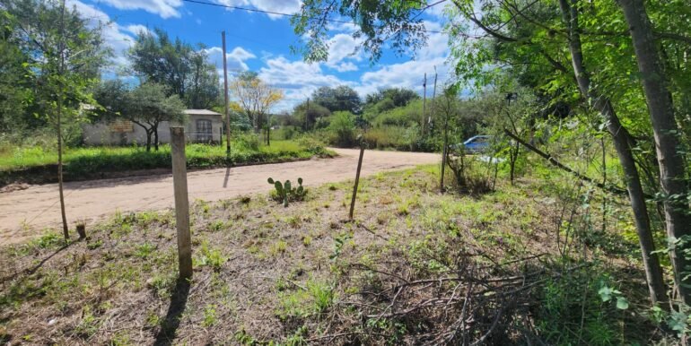 WhatsApp Image 2026-04-15 at 15.46.25 (3)