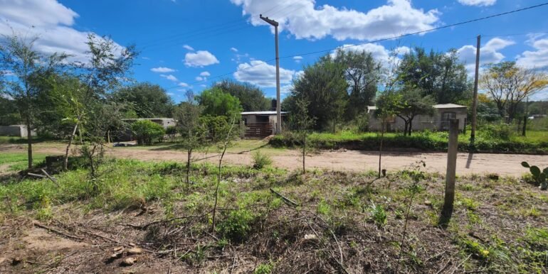 WhatsApp Image 2026-04-15 at 15.46.25