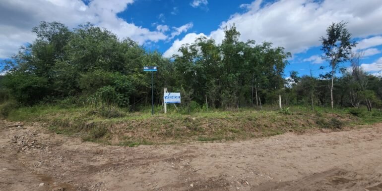 WhatsApp Image 2026-04-15 at 15.46.27 (4)