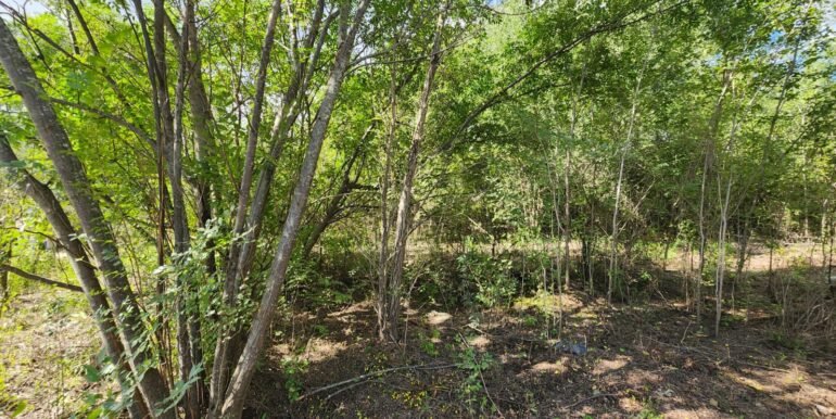 WhatsApp Image 2026-04-15 at 15.46.27