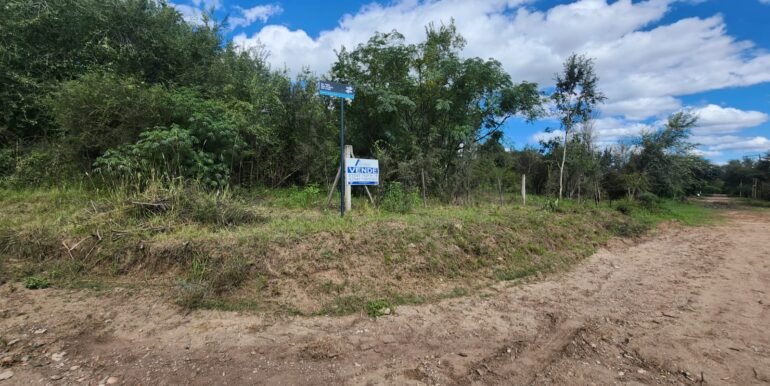 WhatsApp Image 2026-04-15 at 15.46.28 (5)