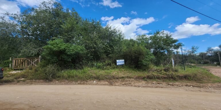 WhatsApp Image 2026-04-15 at 15.46.29