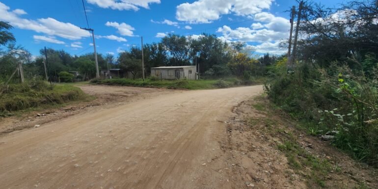 WhatsApp Image 2026-04-15 at 15.46.30