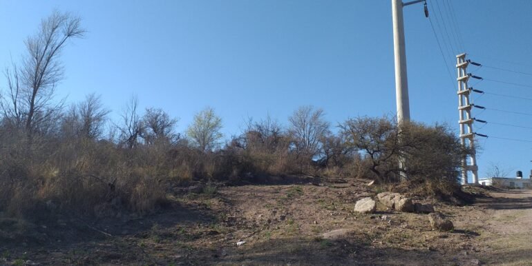 WhatsApp Image 2026-06-04 at 13.20.11 (1)