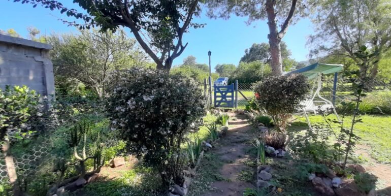 Fi0423284
