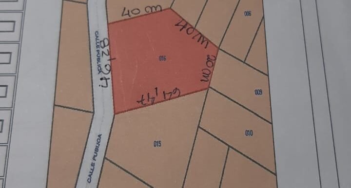 Fi045324