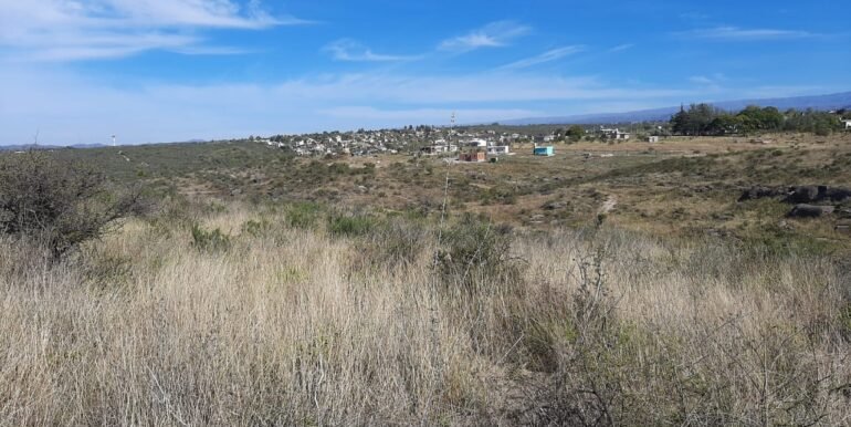 Fi045325
