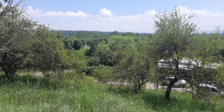Fi055455