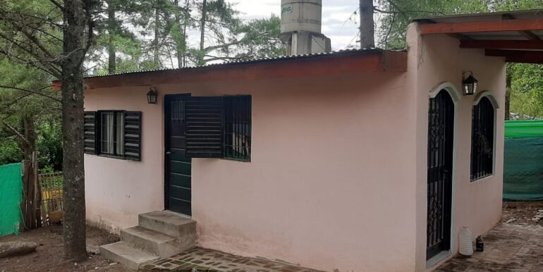 Fi055913