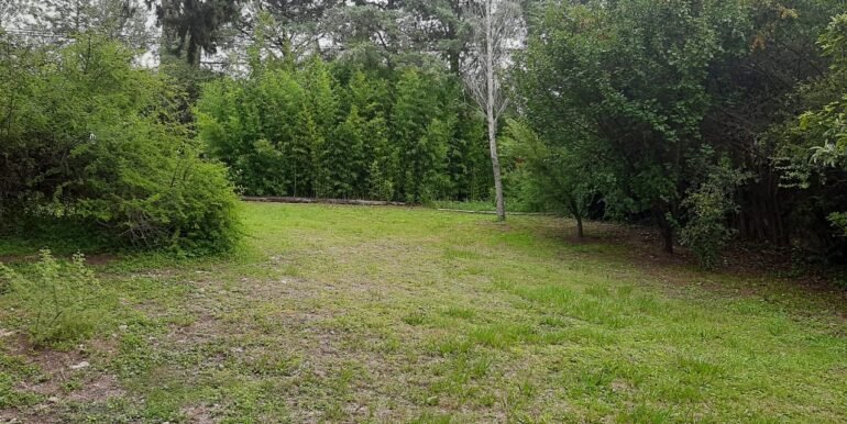 Fi056020