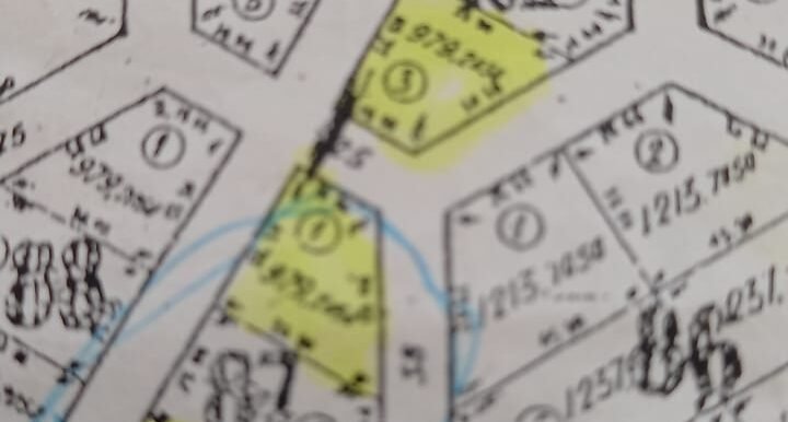 Fi0618117