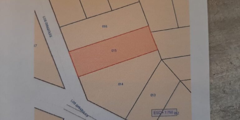 Fi062946