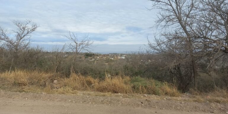 Fi079921