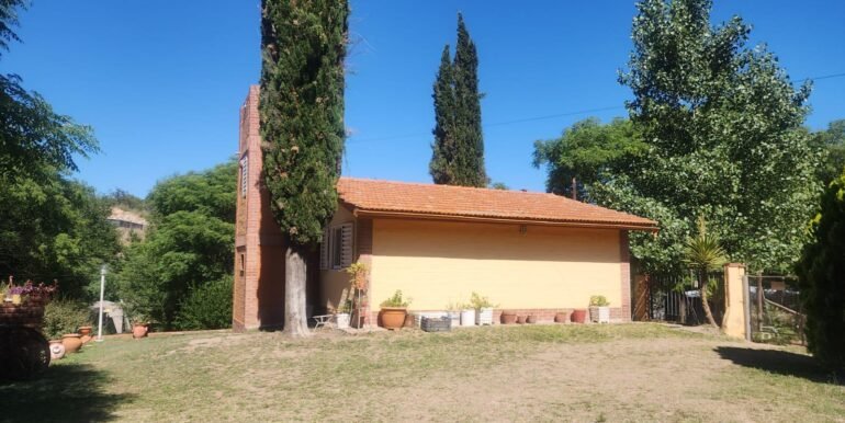 FI115264