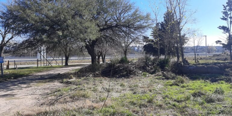 Lote 3 (10)