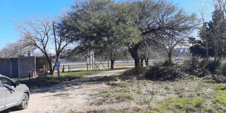 Lote 3 (12)