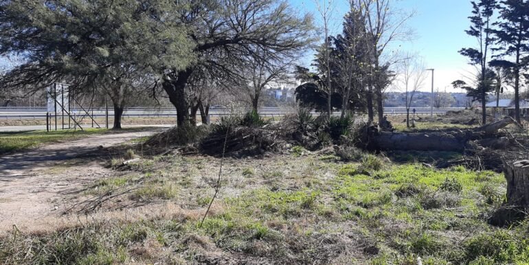 Lote 3 (5)