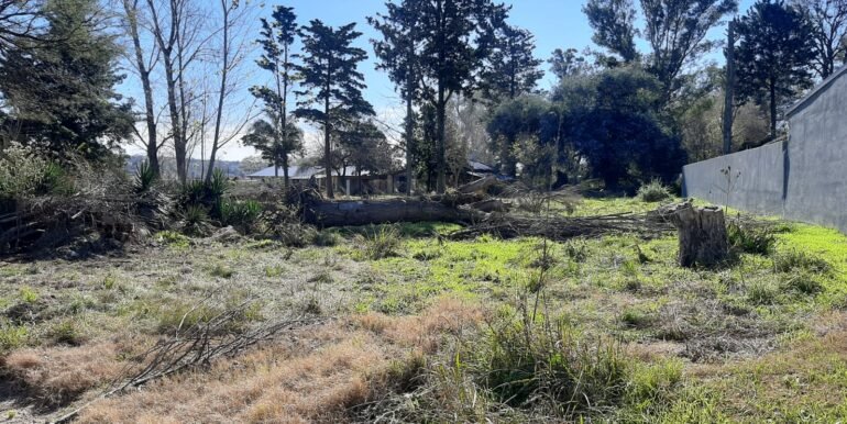 Lote 3 (9)