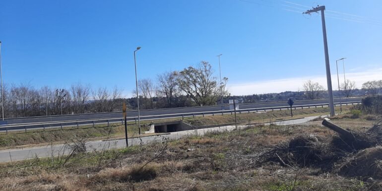 Lote 5 y 6 (16)