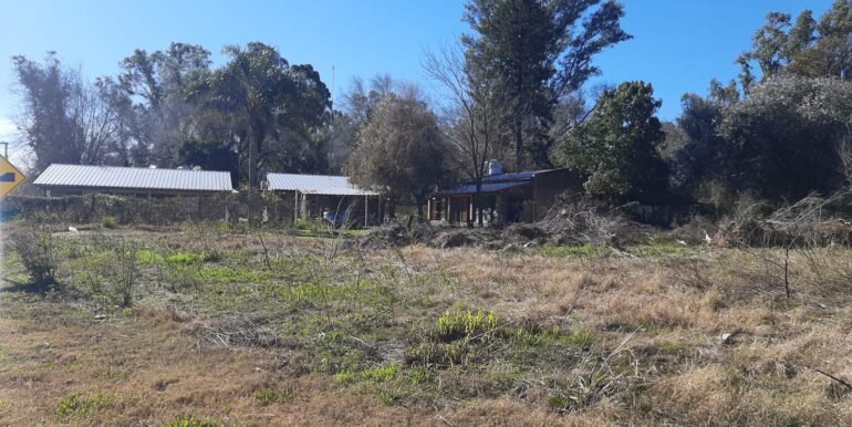 Lote 5 y 6 (2)