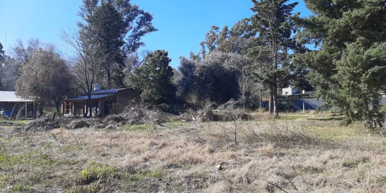Lote 5 y 6 (3)